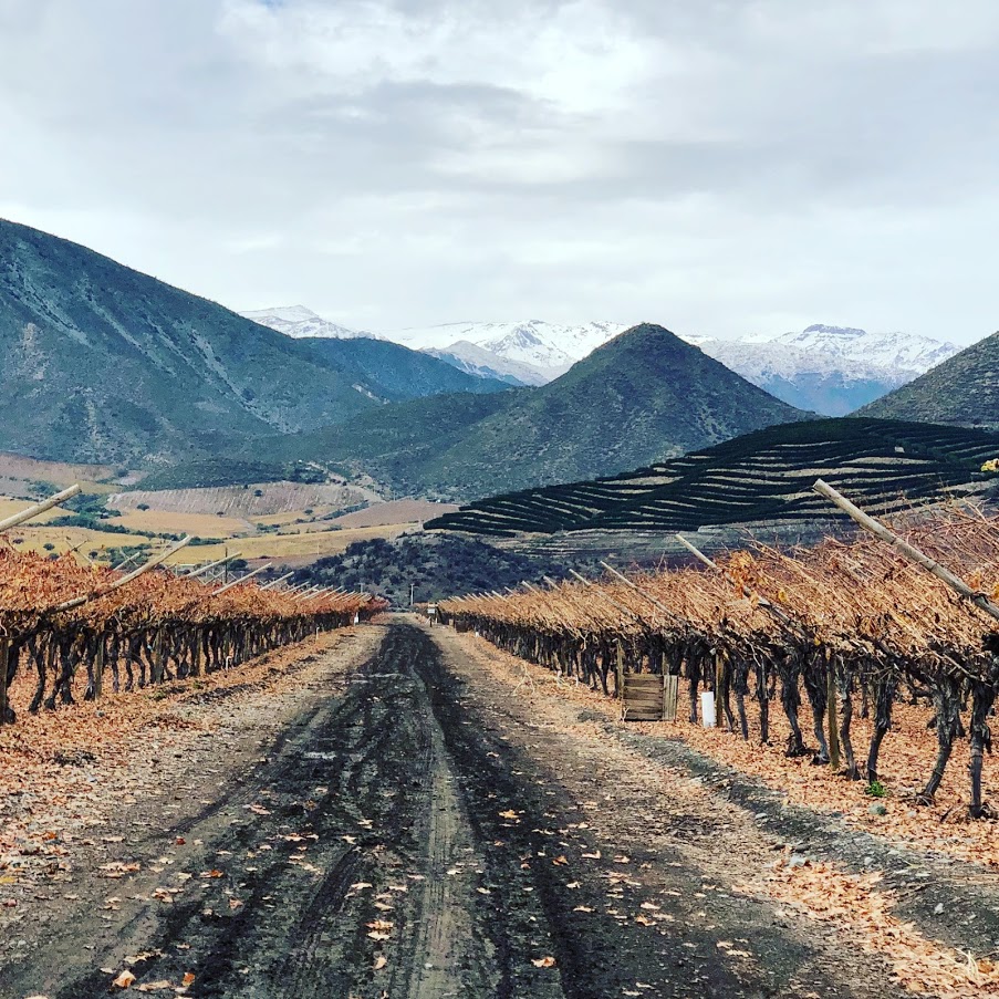 7139E2CF-5AC8-42D5-9194-B90FB7EB1CAB